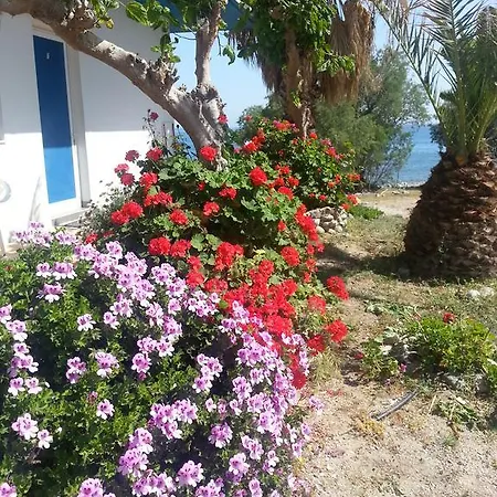 Blue Paradiso